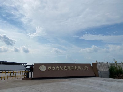 罗定市长胜屠宰有限公司屠宰废水处理项目